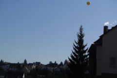 bild_10