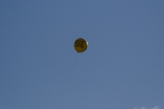 bild_11
