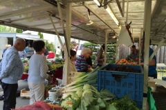 Markt_2015-05-08_25