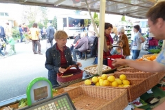 P1090802